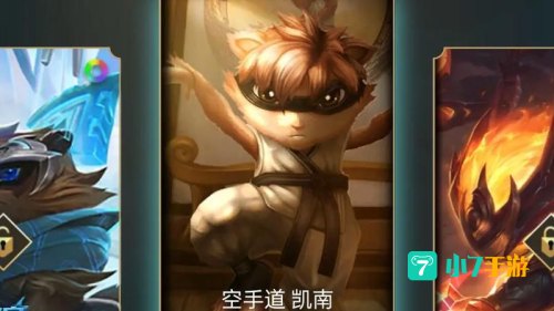 凯南皮肤